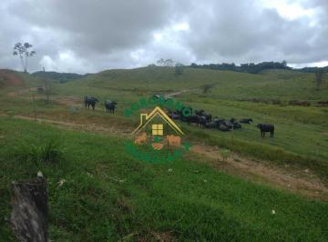 Rural , Registro · Fazenda Em Sete Barras/sp - Vale Do Ribeira.