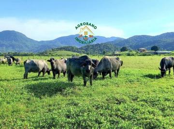 Rural , Registro · Fazenda Em Iguape/sp - Vale Do Ribeira.