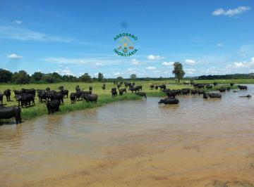 Rural , Registro · Fazenda Em Santana Do Itararé - Paraná/pr.