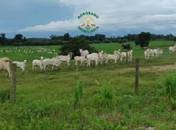 Rural , Registro · Fazenda Em Registro/sp - Vale Do Ribeira.