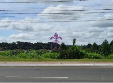 Terreno , Colombo · Excelente Terreno Industrial Em Colombo