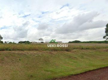 8054e78bb44f584cb15d4949fa713c4a.jpg · Chácara 9.600 m² Estrada Dos Piriquito Londrina - Pr.