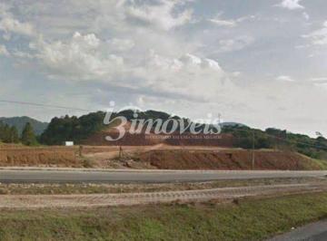 Terreno · 60000m² · Terreno À Venda Ou Aluguel, 60.431 m², Várzea Do Ranchinho, Camboriú - Sc