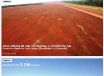 3563_imovelintegrado_imovelweb_1.jpg · Fazenda Centro Nova Mutum Mt