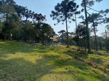 Terreno · 88617m² · Área de Terra Na Nossa Senhora Do Rosário, Caxias Do Sul/rs