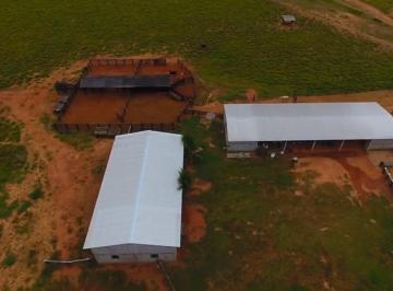 Rural de 3 quartos, Santo Antônio do Leverger · Fazenda 330 Há Agrovila Das Palmeiras 85 Km de Cuiabá - Mt