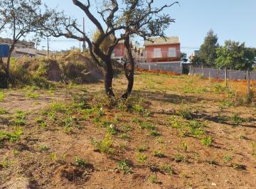 Terreno · 500m² · Terreno À Venda - Em Nova Trieste