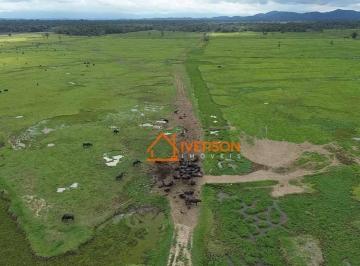 aa160efbae2f6fdf974e2ae86be51fd0.jpg · Fazenda Para Venda Em Registro