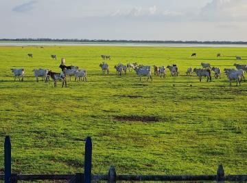 3574_imovelintegrado_imovelweb_1.jpg · Fazenda Nova Republica Santarem Pa