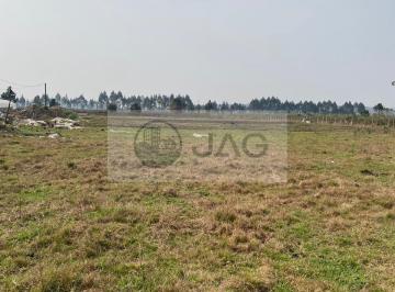 Foto 01 · Terreno 3.000 m² Em Piraquara Bairro Guaraituba Próximo Ao Comércio E a 200 m Do Asfalto, Ótimo Te