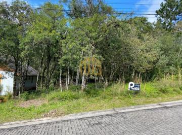 Terreno · 360m² · Terreno No Vivendas Do Arvoredo