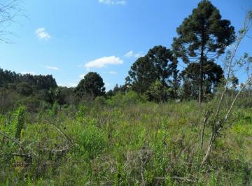 Terreno · 42478m² · Terreno Lote Para Venda Em Centro Mandirituba - Pr