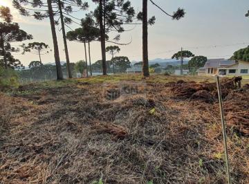 Terreno · 1000m² · Terreno À Venda - Vila Fuck - Piraquara/pr