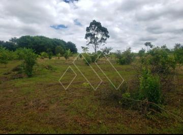 Rural · 24200m² · 3 Quartos · 3 Vagas · Chácara Seca Com 2 Casas 2.200 m Do Rio Tibagi