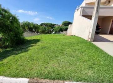 Foto 13 · Terreno Para Venda Jardim Jurema, Valinhos