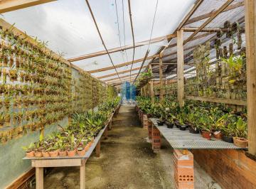 Terreno · 6000m² · 1 Quarto · Terreno À Venda - Área Rural de São José Dos Pinhais