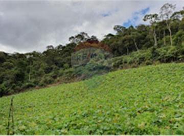 Terreno · 90000m² · Terreno Em Área Rural Recanto Verde Dona Mariana