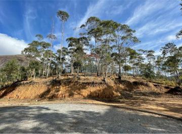 Terreno · 1036m² · Terreno No Parque São Clemente Com 1036 m² À Venda por 216.000
