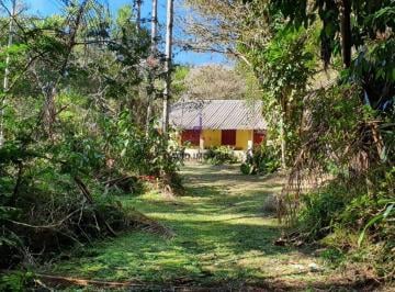 jypwwcs2njcwotu5n2eyodcy_md · Sítio Com 24 Mil m² - Rio Negro - Natividade Da Serra/sp