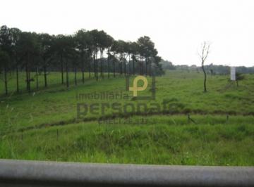60326824.jpg · Área Industrial Em Sorocaba - Sp, Rodovia Celso Charuri.