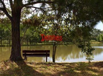 Terreno · 1650m² · Terreno À Venda, Condomínio Jardim Das Palmeiras.
