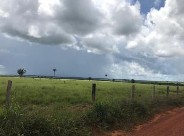 Rural · 220000000m² · Fazenda Para Pecuaria Negocio de Oportunidade!