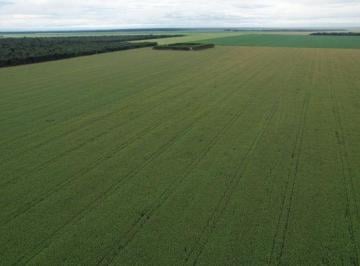 Rural · 15000000m² · Fazenda a Venda Na Região de Sorriso - Mt