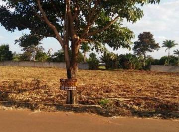 Rural · 1000m² · 2 Quartos · Venda | Chácara, Com 2 Dormitórios Em Chácara Dos Ipês, Iguaraçu