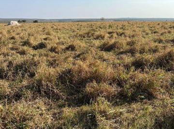 Rural · 7600000m² · Fazenda Na Região de Juscimeira - Mt!