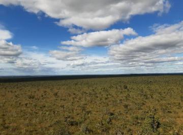 Rural · 54570000m² · Venda | Fazenda, Em Rural, Alto Parnaíba