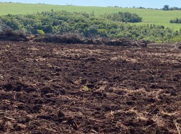 Rural · 17660000m² · Fazenda Dupla Aptidão a Venda Em Maracaju Ms