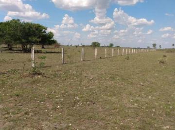 Rural · 220000000m² · Grande Fazenda - Negocio de Oportunidade!