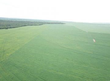 Rural · 31500000m² · Fazenda Dupla Aptidão a Venda - Canarana - Mt