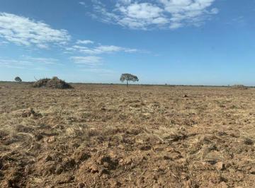 Rural · 138322384m² · Fazenda a Venda Negocio de Oportunidade!