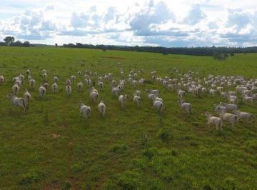 Rural · 27000000m² · Fazenda a Venda Divisa Com Primavera Do Leste - Mt!