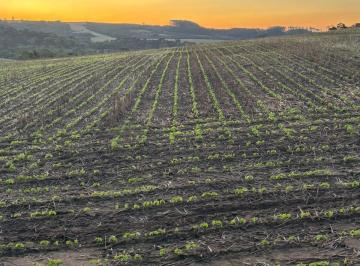 Rural · 670000m² · Fazenda a Venda Na Lapa - Pr!