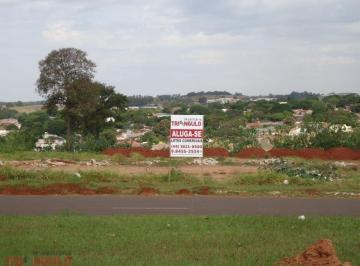 Terreno · 800m² · Locação | Terreno, Em Zona VII, Umuarama