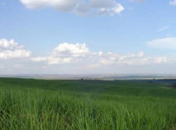 Rural · 2373056m² · Venda | Fazenda, Em Mandaguaçu