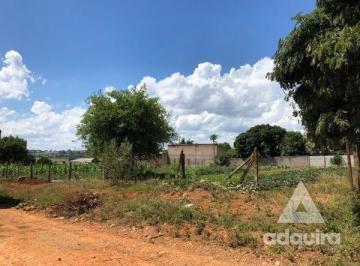 terreno-a-venda-350m-chapada-ponta-grossa-pr1699970353026wwvmo.jpg · Terreno À Venda 350 m², Chapada, Ponta Grossa - Pr