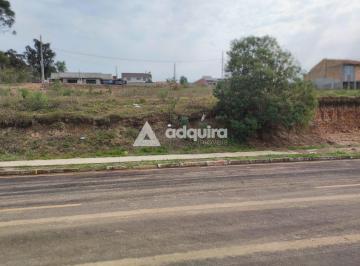 whatsapp-image-2024-08-06-at-11-54-131722974907983.jpeg · Terreno À Venda, Lago Real - Irati, Pr