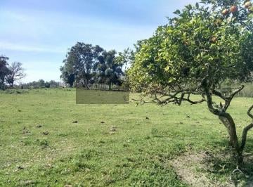 Terreno · 21000m² · Terreno Para Venda Em Nova Brasília Imbituba - Sc