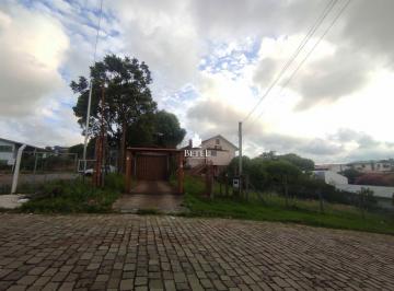 Terreno · 1000m² · Terreno À Venda No Bairro Salgado Filho - Caxias Do Sul/rs