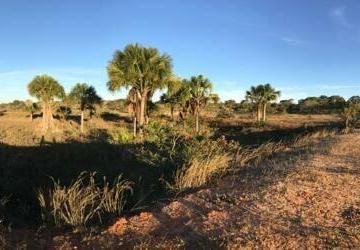 Rural · 4000m² · Fazenda À Venda No Bairro Centro - Buritizeiro/mg