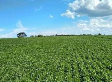 Rural · 1238m² · 7 Quartos · 12 Vagas · Fazenda À Venda No Bairro Centro - Guapé/mg