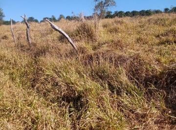 Rural · 7ha · Sítio À Venda Em Poços de Caldas/mg