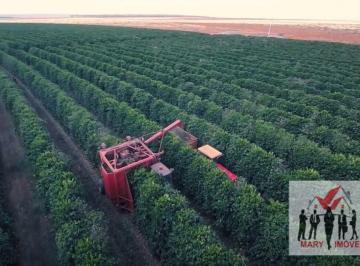 Rural · 2050m² · Fazenda À Venda No Bairro Centro - Buritizeiro/mg