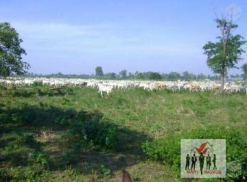 Rural · 88000m² · Fazenda À Venda No Bairro Zona Rural - Poconé/mt