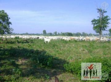 Rural · 88000m² · Fazenda À Venda No Bairro Zona Rural - Poconé/mt