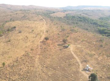 2024/11/1b3eed36f6505e56f2bdcbfb6c23972b.jpg · Fazenda Para Investimento Entre Coromandel E Patrocínio/mg