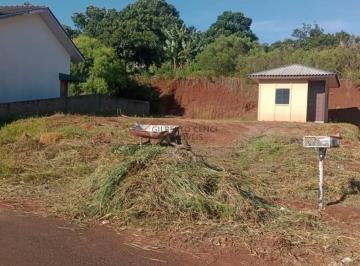 2024/09/842041273f3ef024c867e3256763d7bb.jpg · Terreno - Bairro Primavera 2